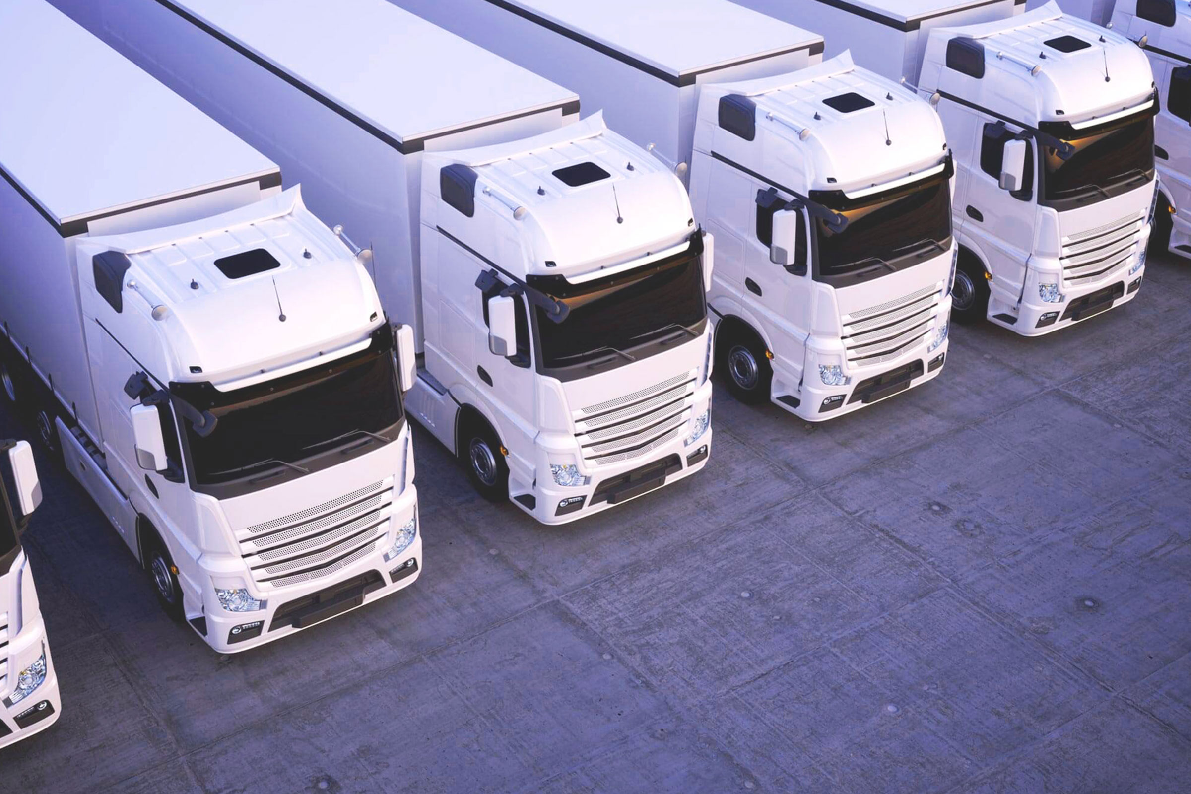 Werbeagentur Rostock Webdesign pxmedia webseite referenzen