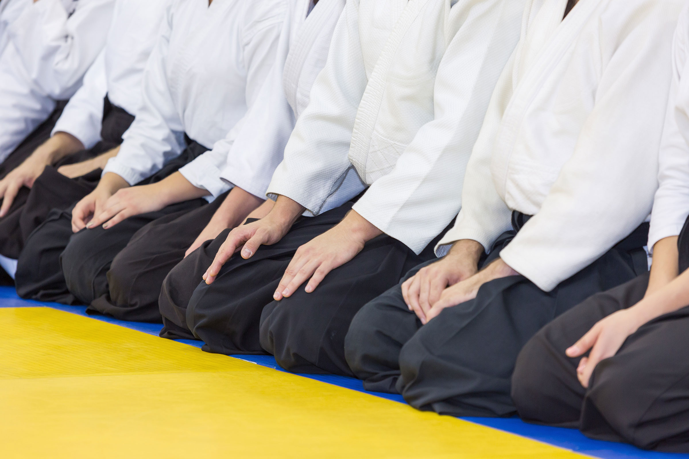 Webdesign Aikido Kampfsport Rostock Design
