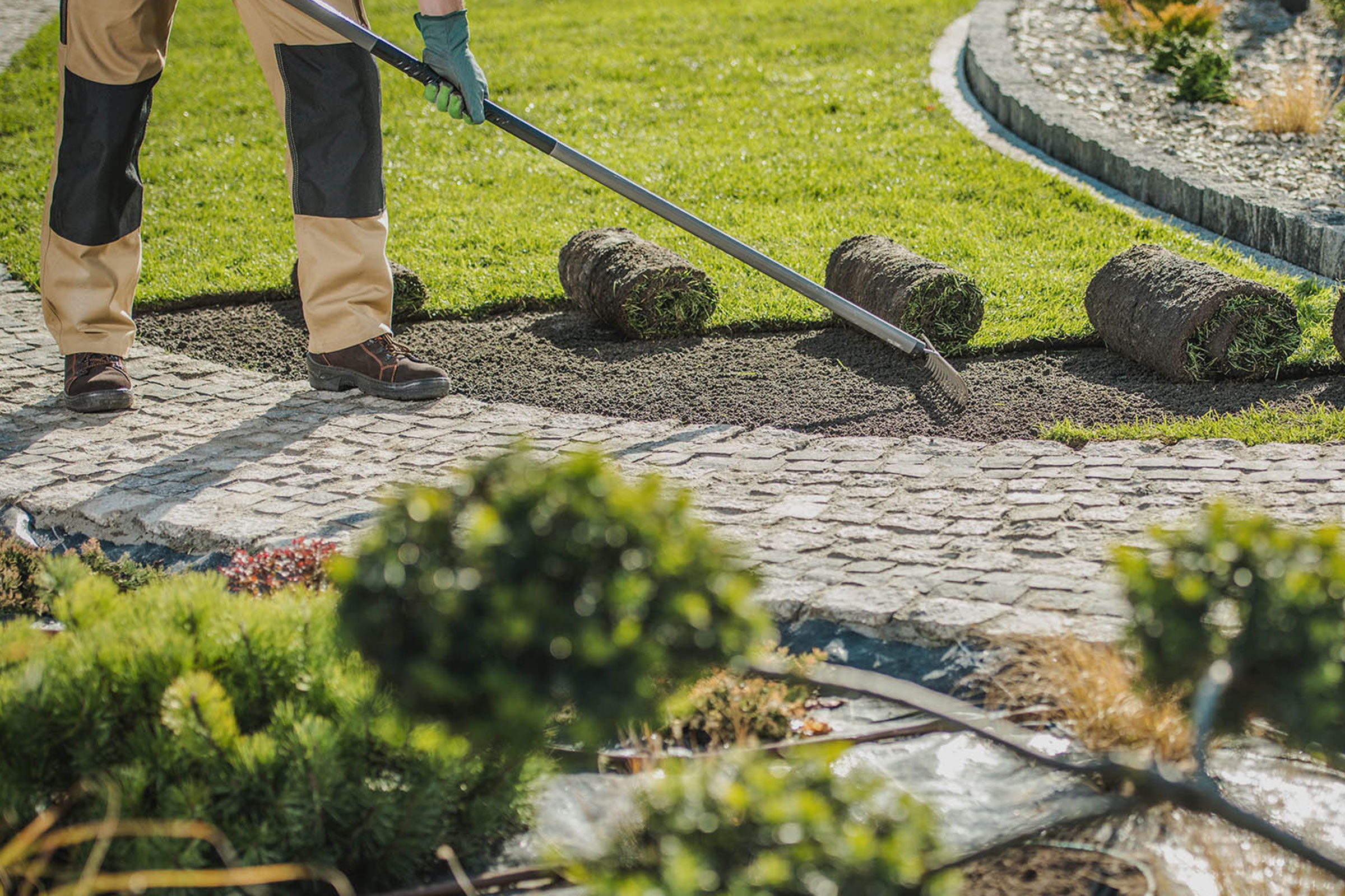 Grüne Dienste Rostock Garten Bau