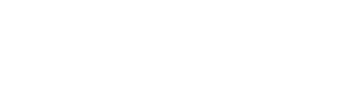 Netzmiete Logo pxmedia Gestaltung Agentur Webdesign Webseite